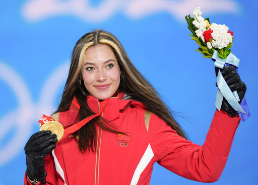 星空体育(中国)官方网站室内健身器械数据库管理